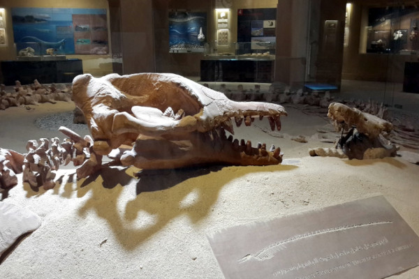 エジプトの旅