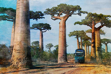 Madagascar_photo