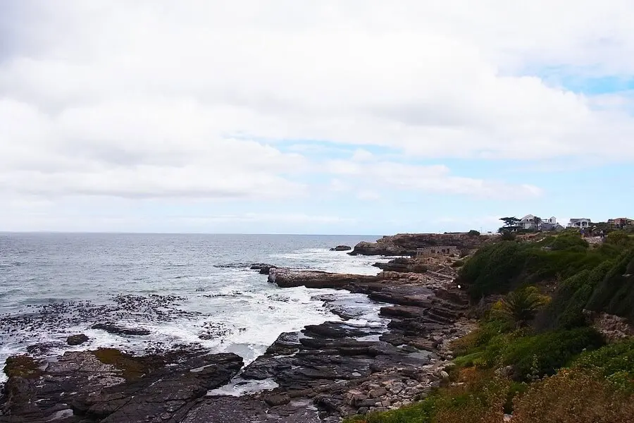 ハマナスの風景