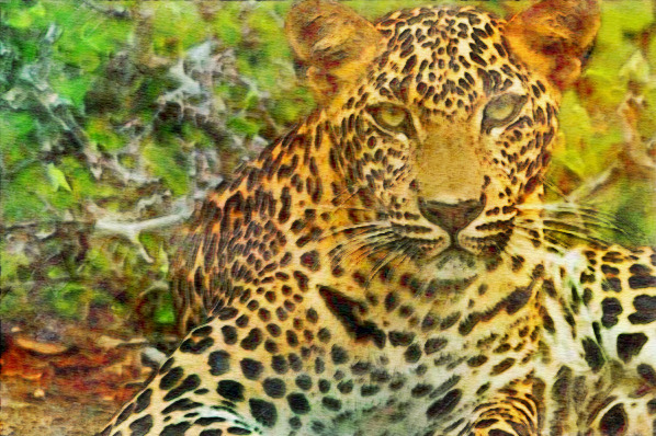 Srilanka_photo