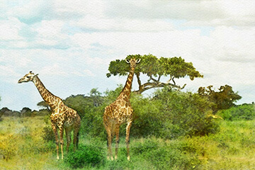 Tanzania_photo
